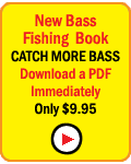 Bass Fishing Book For Sale