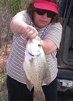 Potential Oklahoma State Record White Crappie