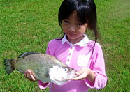 Alabama Crappie