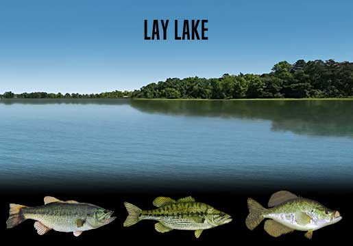 Fishing Report Lay Lake, AL