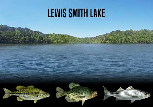 Fishing Report Lewis Smith Lake, AL
