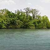 Wheeler Lake, Alabama