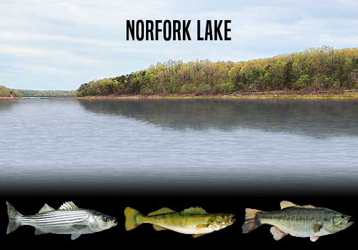 Fishing Report Norfork Lake, AR