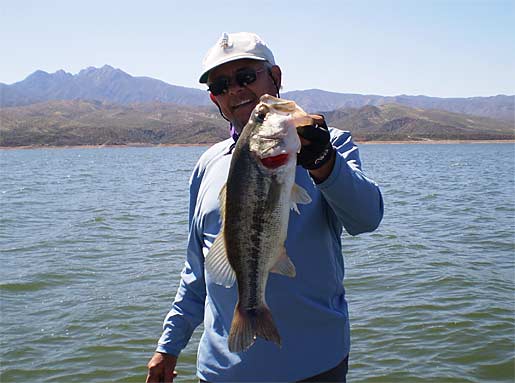 Roosevelt Lake Largemouth Bass