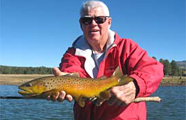 Arizona German Brown Trout