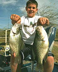 AZ Crappies