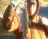 Arizona 3-pound Rainbow Trout