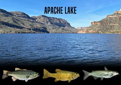Fishing Report Apache Lake