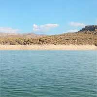 Bartlett Lake Reports