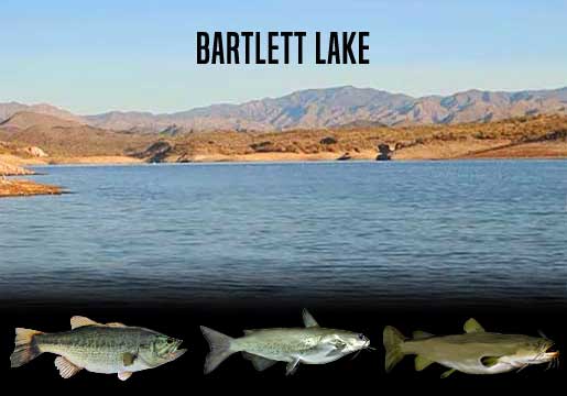 Fishing Report XXXXX