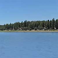 Fool Hollow Lake Reports