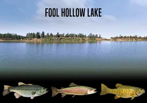 Fishing Report Fool Hollow Lake