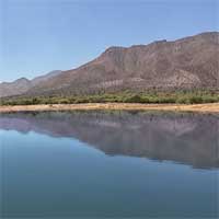 Horseshoe Lake Reports