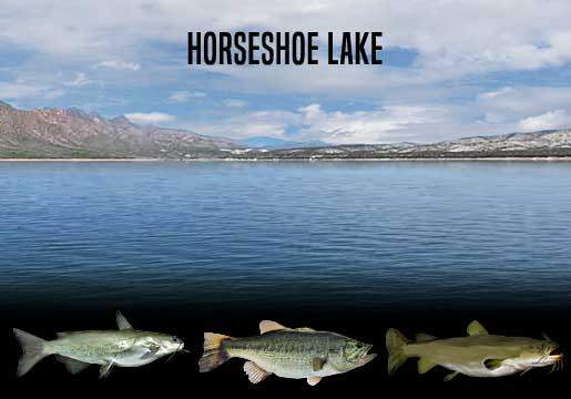 Fishing Report Horseshoe Lake