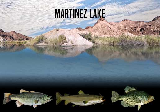 Fishing Report Martinez Lake