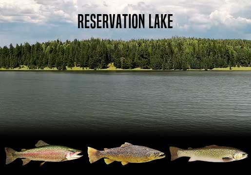 Fishing Report Reservation Lake