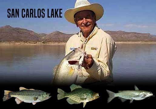 Fishing Report San Carlos Lake