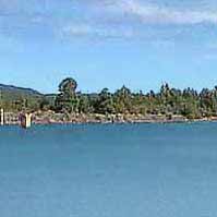 Show Low Lake Reports