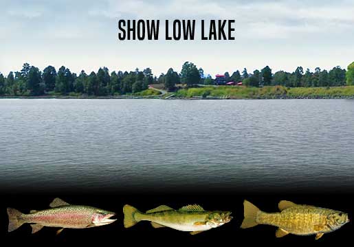 Fishing Report Show Low Lake, AZ