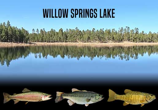 Fishing Report Willow Springs Lake