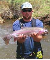 Colorado Trout