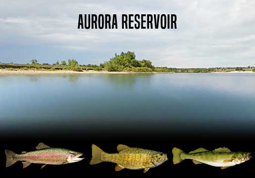 Fishing Report Aurora Reservoir, CO