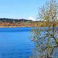 Carter Lake Reports