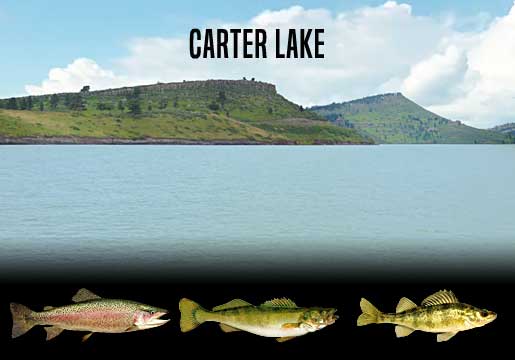 Fishing Report Carter Lake, CO
