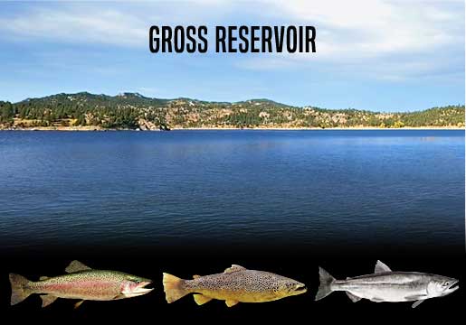 Fishing Report Gross Reservoir, CO