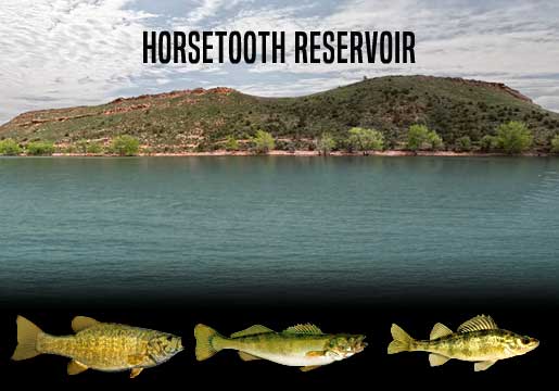 Fishing Report Horsetooth Reservoir