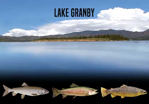 Fishing Report XXXXX