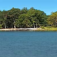 connecticut Reports
