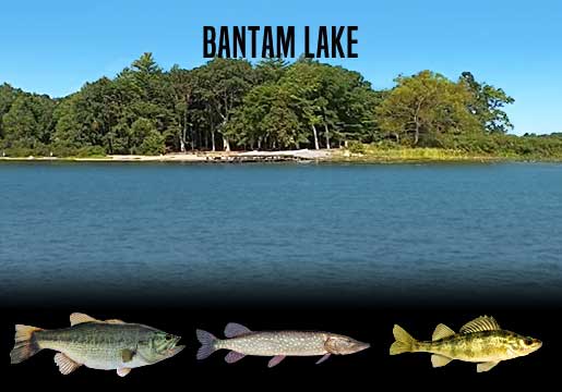 Fishing Report Bantam Lake, CT