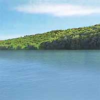 Lake Lillinonah Reports
