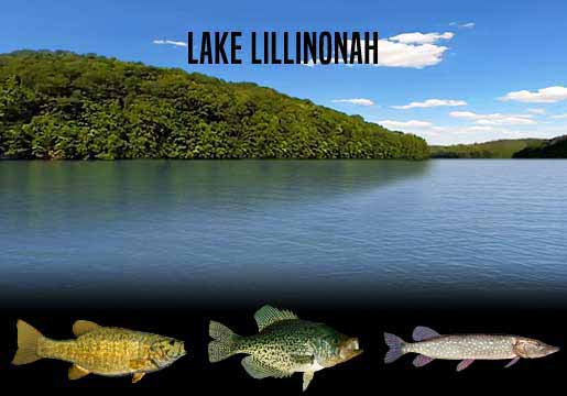 Fishing Report Lake Lillinonah, CT