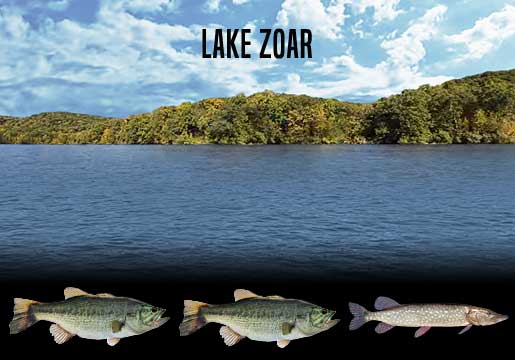 Fishing Report Lake Zoar, CT