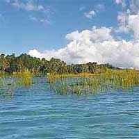 Crescent Lake Reports