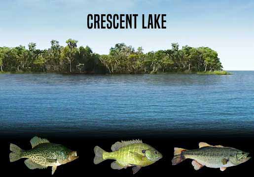 Fishing Report Crescent Lake, FL