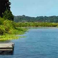 Lake Apopka Reports