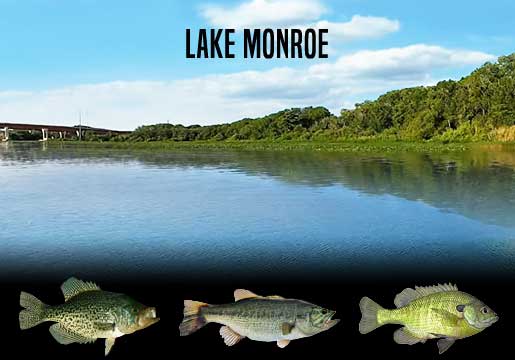 Fishing Report Lake Monroe, FL