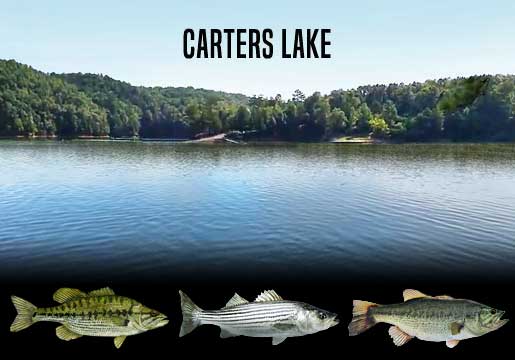 Fishing Report Carters Lake