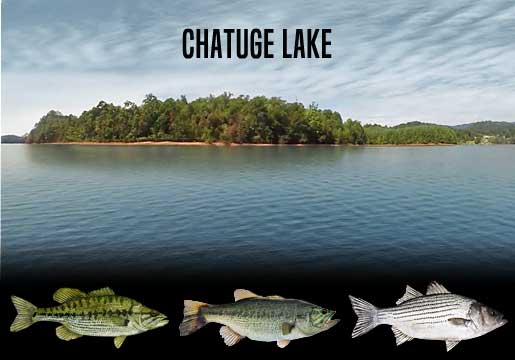 Fishing Report Chatuge Lake