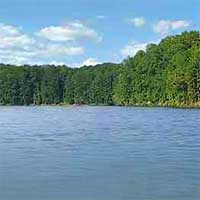 Lake Allatoona Reports