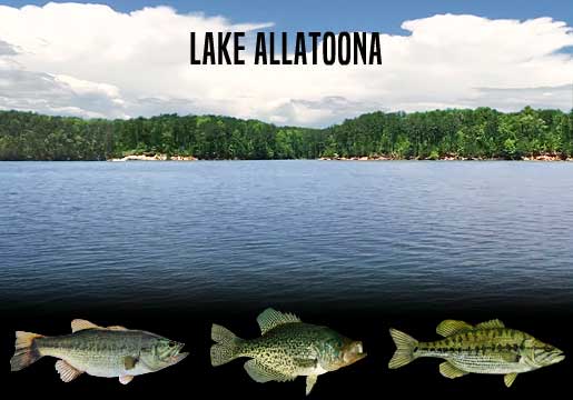 Fishing Report Lake Allatoona, GA