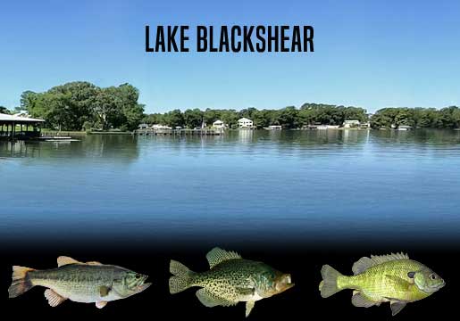 Fishing Report Lake Blackshear
