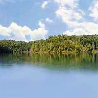 Lake Nottely Reports