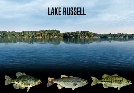 Fishing Report Lake Russell