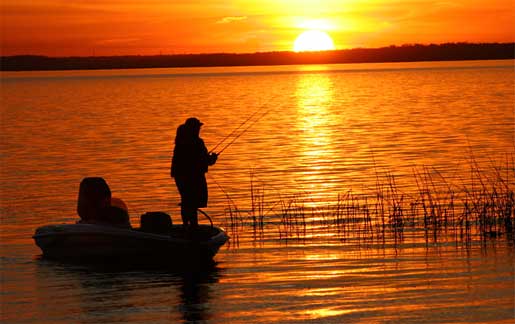 Bass Fishing In A Bass Boat