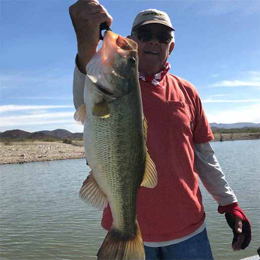 Roosevelt Lake Largemouth Bass