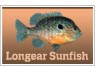 Longear Sunfish